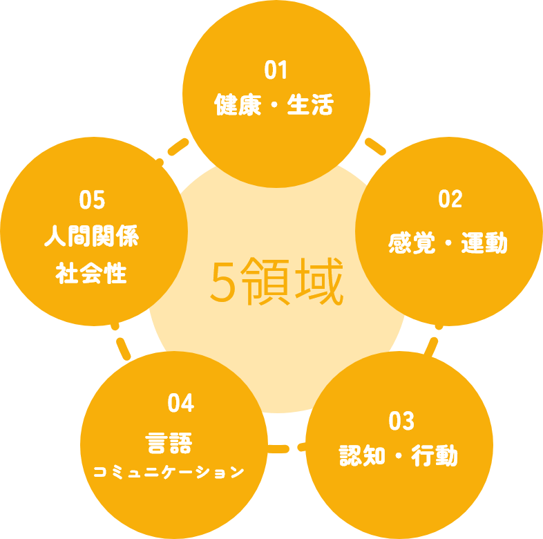 5領域